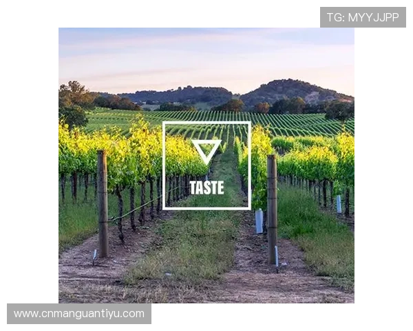 亚博体育线上官网：移动端体验优化与客户服务支持