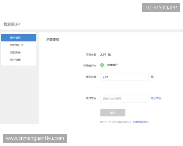 凯时国际官网支付方式多样化，快速便捷的充值提现流程详解