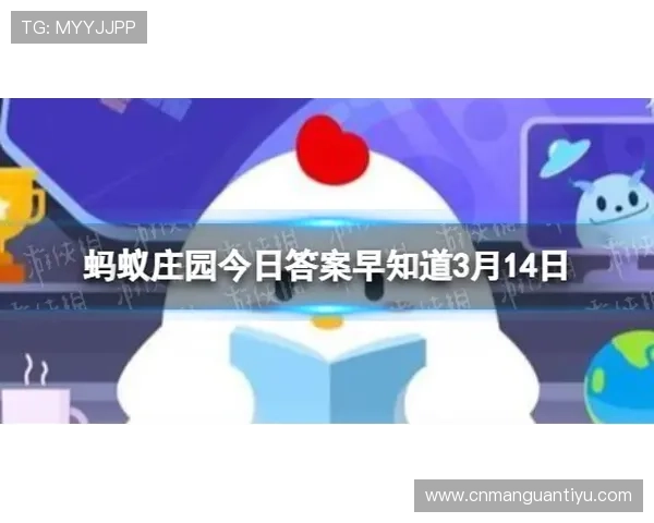 B sports开户流程全攻略，确保每一步都安全顺利完成