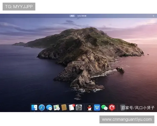 雷速体育电脑如何优化运行速度提升观看体验的实用技巧分享